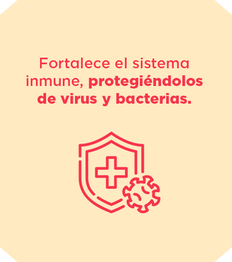 Fortalece-el-sistema-inmune.png