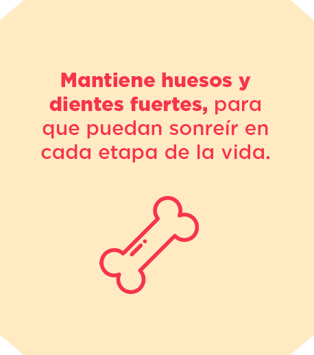 Mantiene-huesos-y-dientes-fuertes.png
