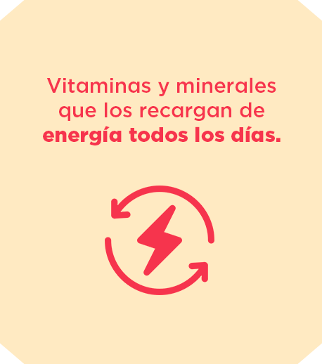 Vitaminas-y-minerales.png